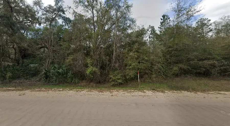 915 Annette Avenue, Interlachen, FL 32148 - #2