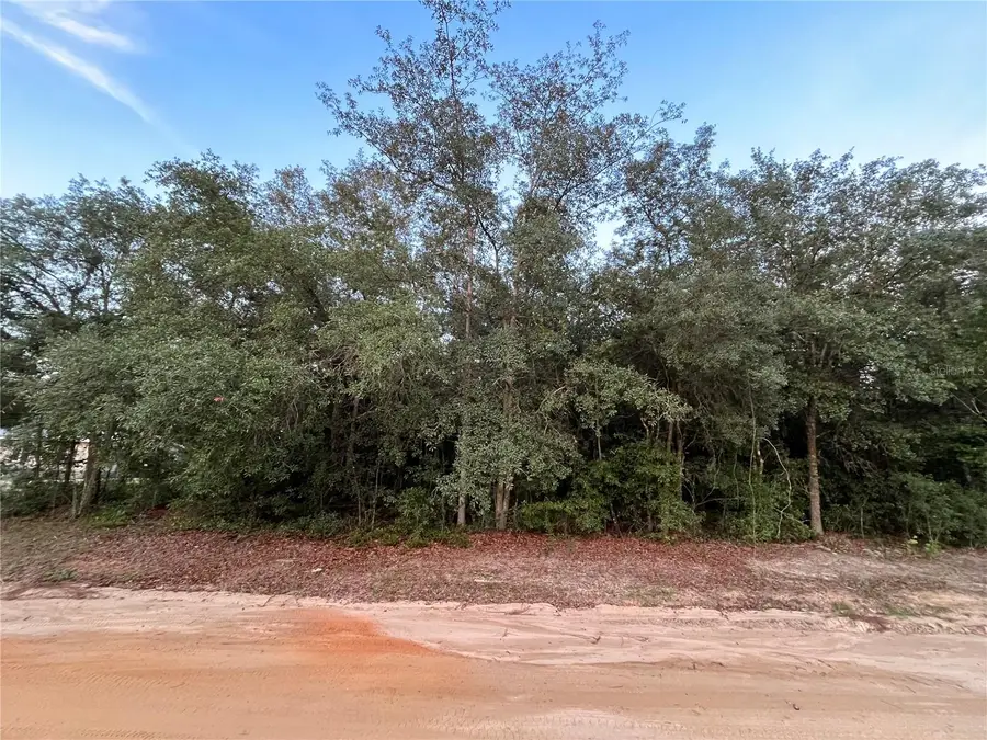 512 Oakcrest Drive, Interlachen, FL 32148 - #3