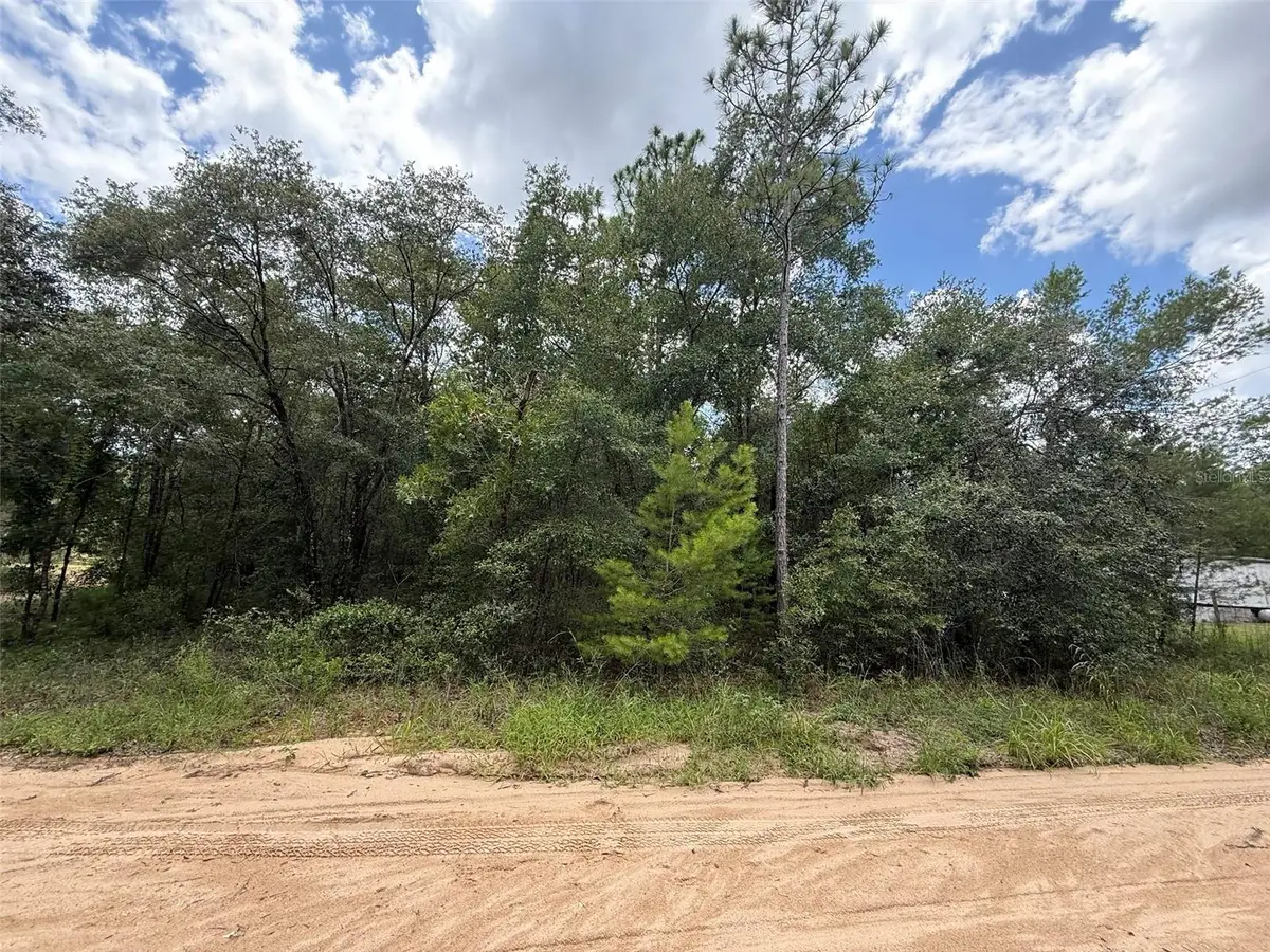 138 SE 8th Ave, Interlachen, FL 32148 - #1