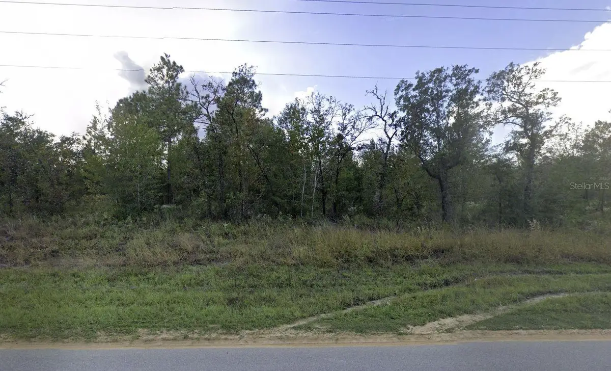 1504 Lakeview Trail, Interlachen, FL 32148 - #1