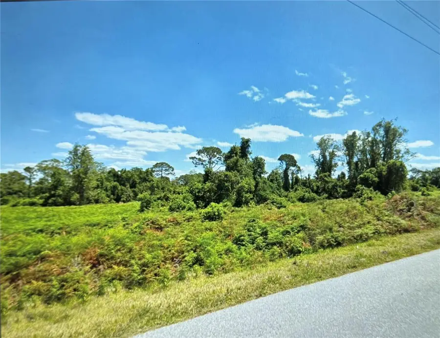 449 Hallmark Avenue, Lake Placid, FL 33852 - Image #2