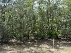 109 Pinellas Street, Florahome, FL 32140 - Image #2