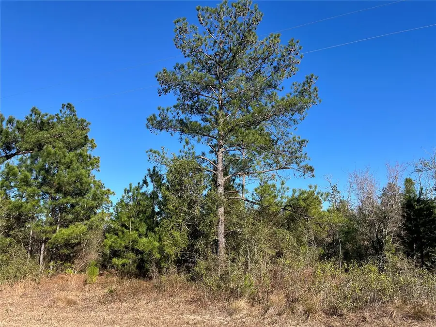 Fairview Road, Marianna, FL 32448 - Image #2