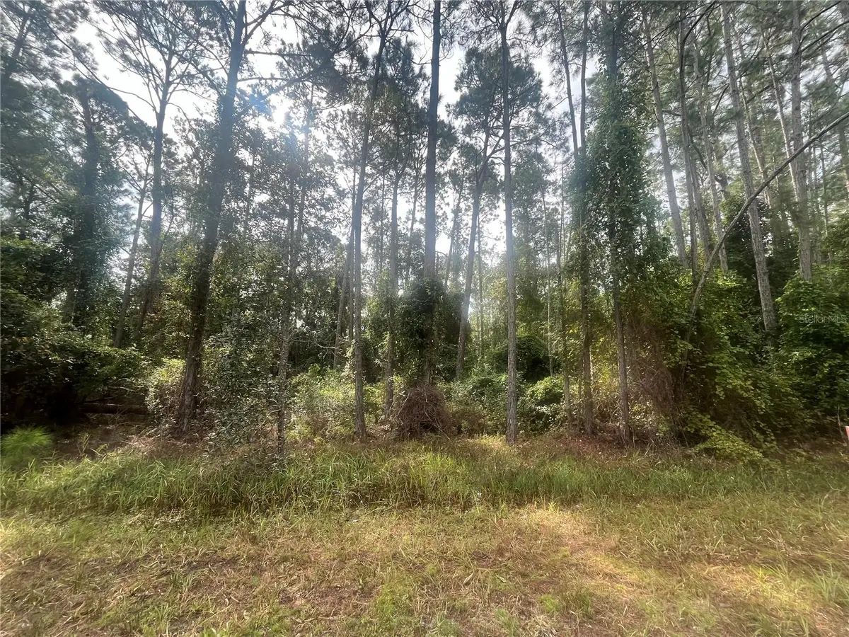 223 SE 2nd Street, Georgetown, FL 32139 - Image #1