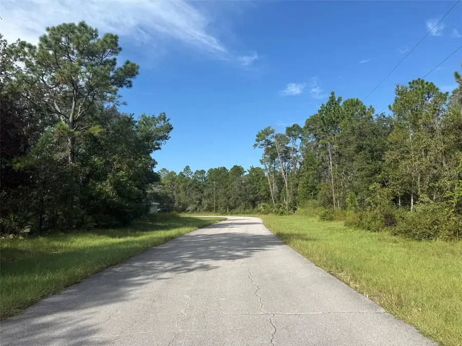 79th Terrace Road, Dunnellon, FL 34432 - #3