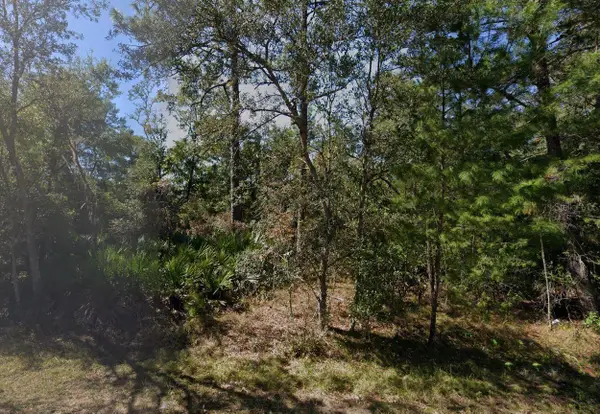 TBD Theresa Avenue, INTERLACHEN, FL 32148