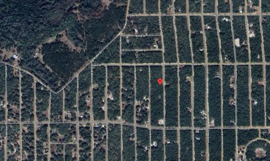 523 Gloria Avenue, Interlachen, FL 32148 - Image #3