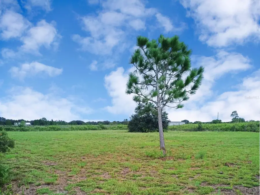 20533 NW 250th Street, Okeechobee, FL 34972 - Image #3