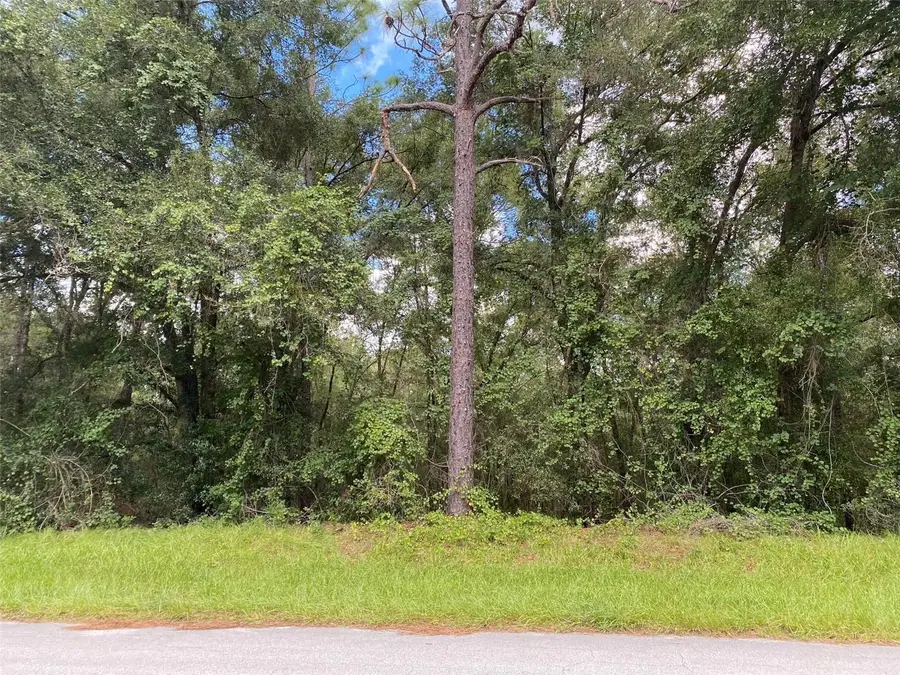 425 E Elgrove Drive, Citrus Springs, FL 34434 - Image #2