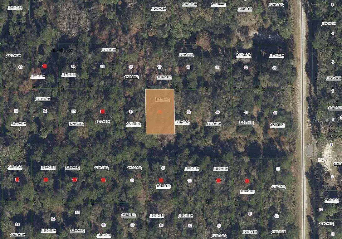 332 Laisy Drive, Georgetown, FL 32139 - Image #1