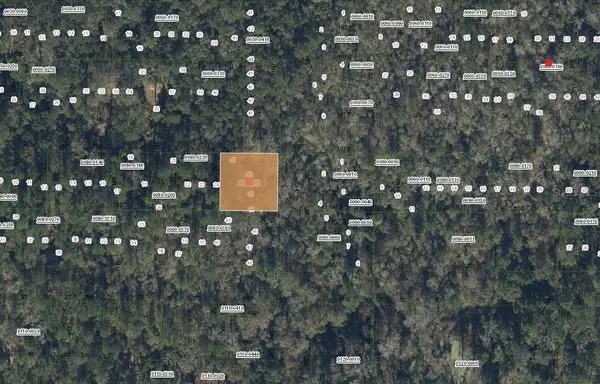 TBD Unassigned, HAWTHORNE, FL 32640