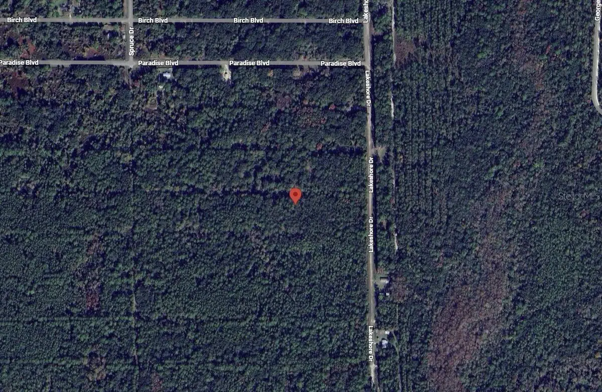 329 Chipola Drive, Georgetown, FL 32139 - Image #1