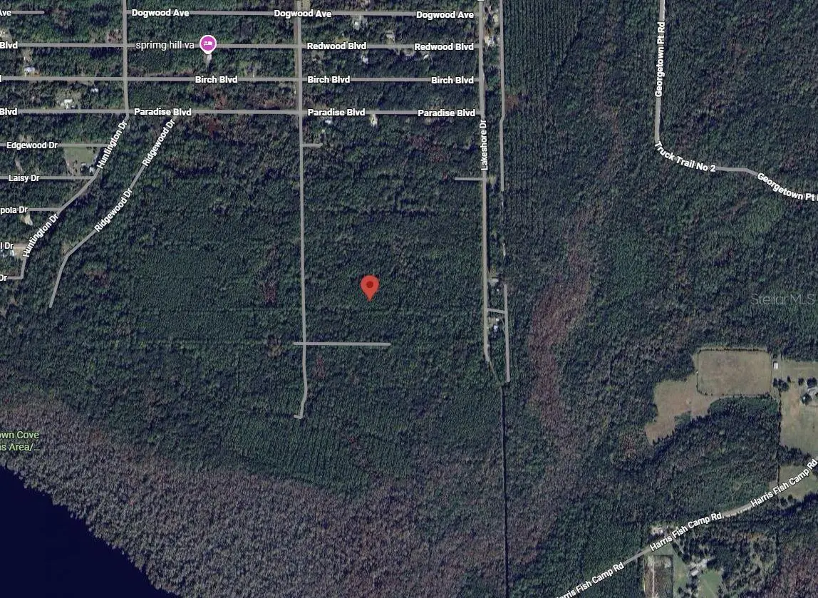 214 Garrison Avenue, Georgetown, FL 32139 - Image #1