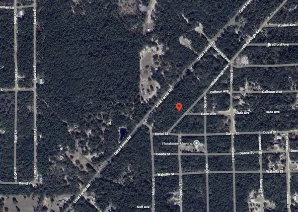 108 W Hillsborough Avenue, FLORAHOME, FL 32140