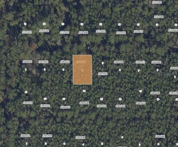307 Tropical Drive, GEORGETOWN, FL 32139