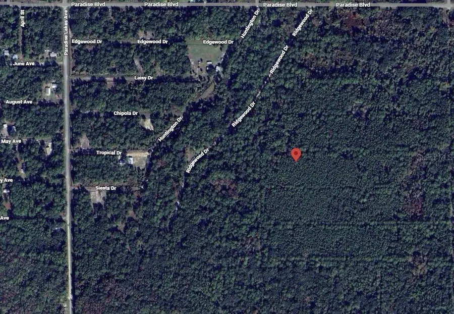 307 Tropical Drive, Georgetown, FL 32139 - Image #2