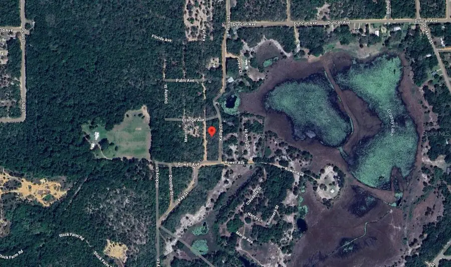 188 Kay Street, Interlachen, FL 32148 - Image #2