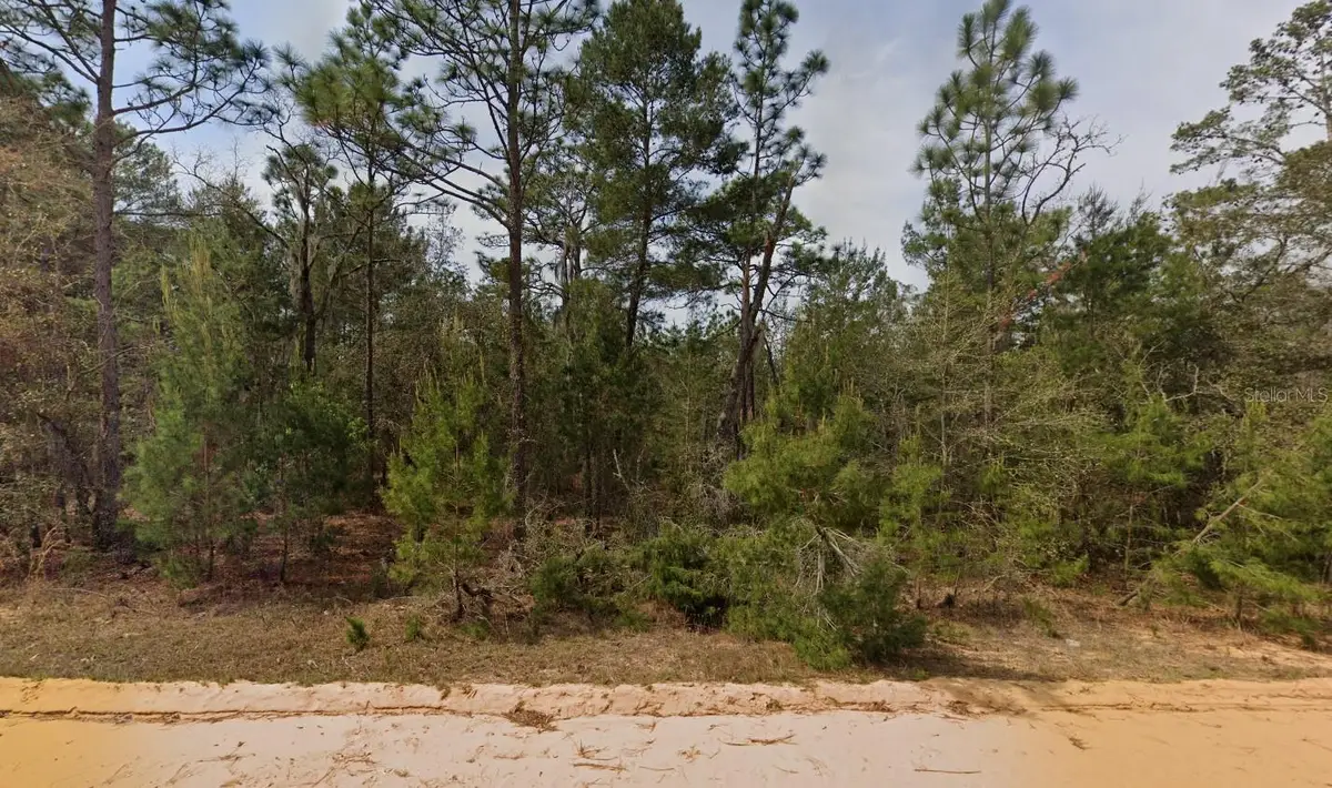 314 Neisman Avenue, Interlachen, FL 32148 - Image #1