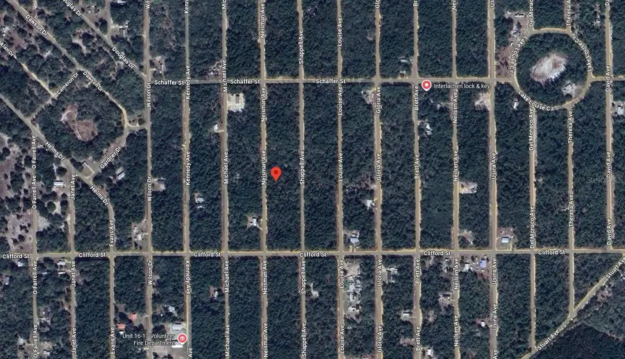 314 Neisman Avenue, Interlachen, FL 32148 - Image #3