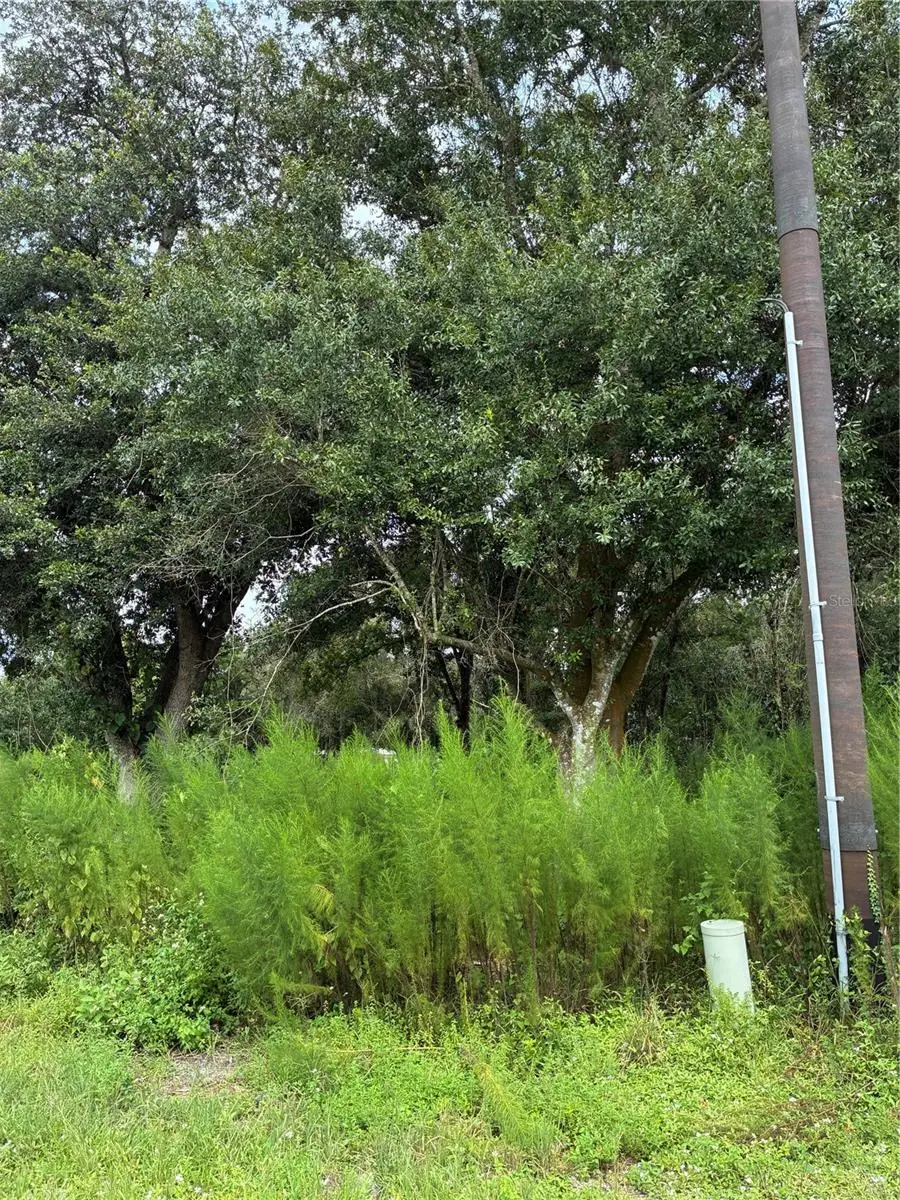 16650 NW 38th Avenue, Okeechobee, FL 34972 - Image #2