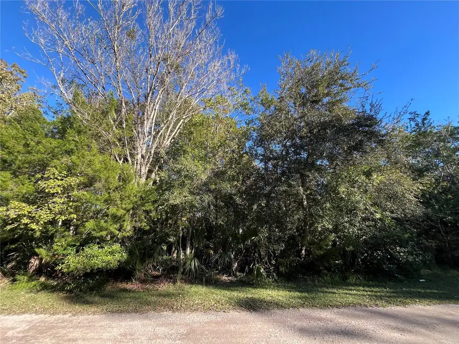 9667 S Lotus Point, Homosassa, FL 34448 - Image #2