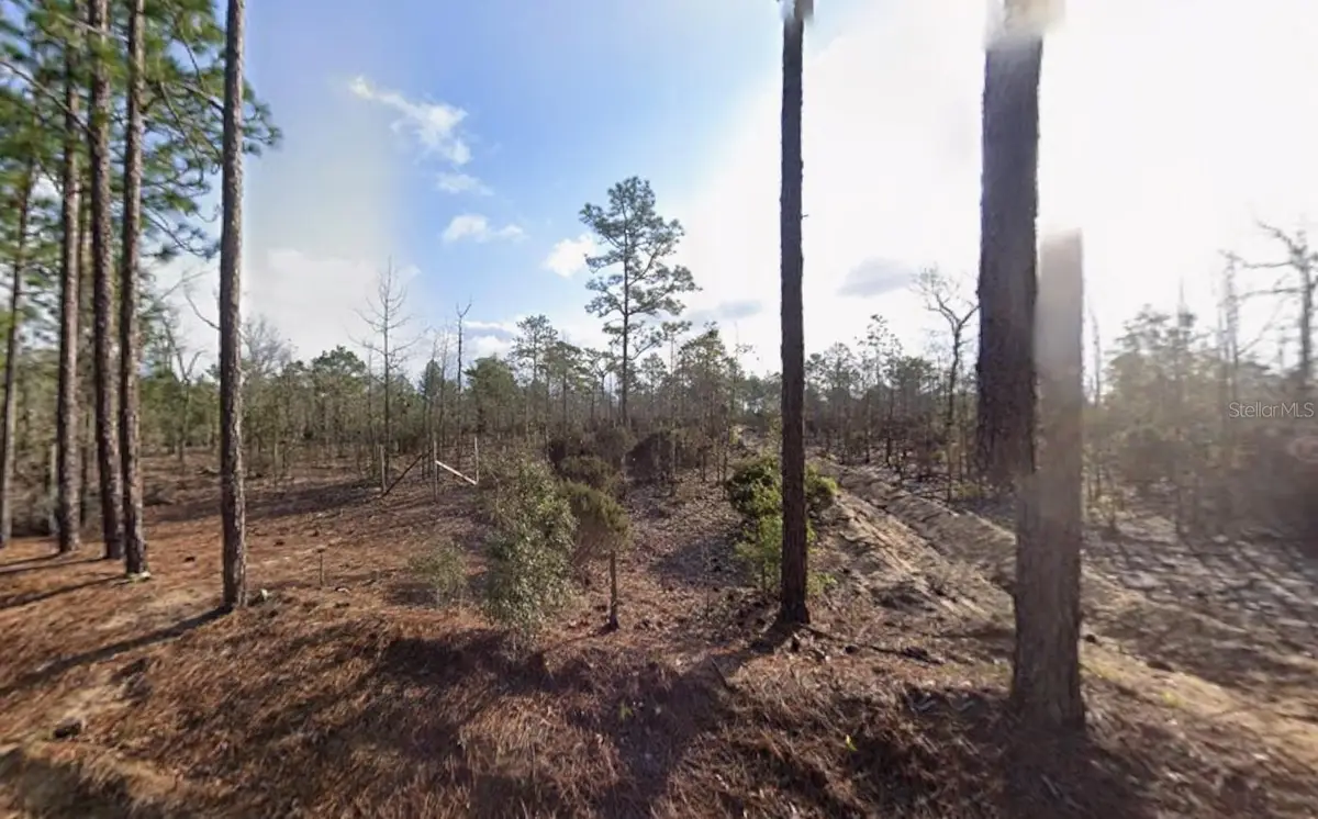 116 Tulip Avenue, Interlachen, FL 32148 - #1