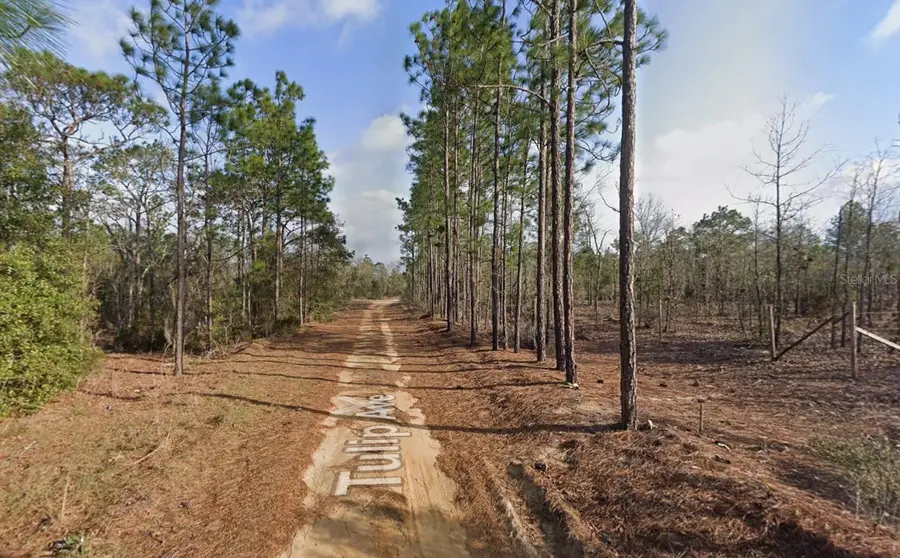 116 Tulip Avenue, Interlachen, FL 32148 - #2