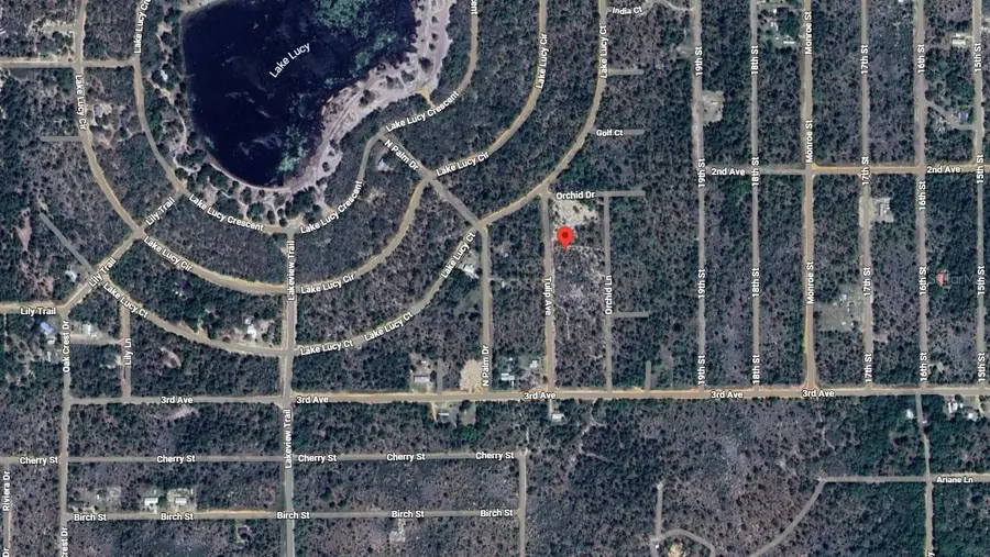 116 Tulip Avenue, Interlachen, FL 32148 - #3