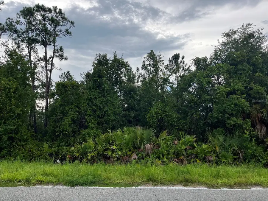 6883 St Johns Avenue, Palatka, FL 32177 - Image #3
