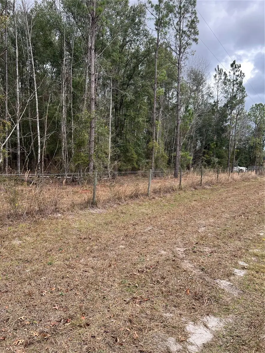 589 SW Cumorah Hill Street, Fort White, FL 32038 - Image #1