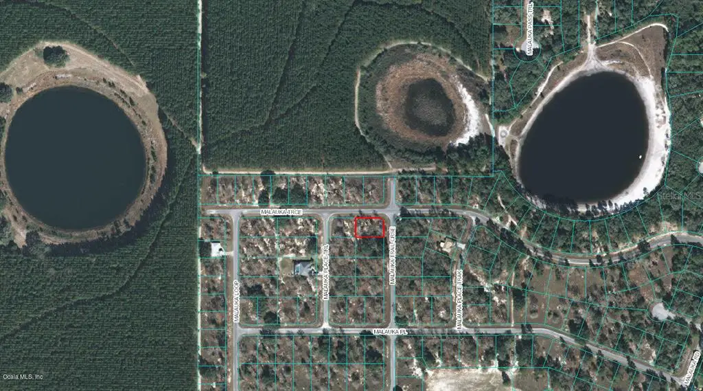 00 Malauka Trail Course, Ocklawaha, FL 32179 - Image #1