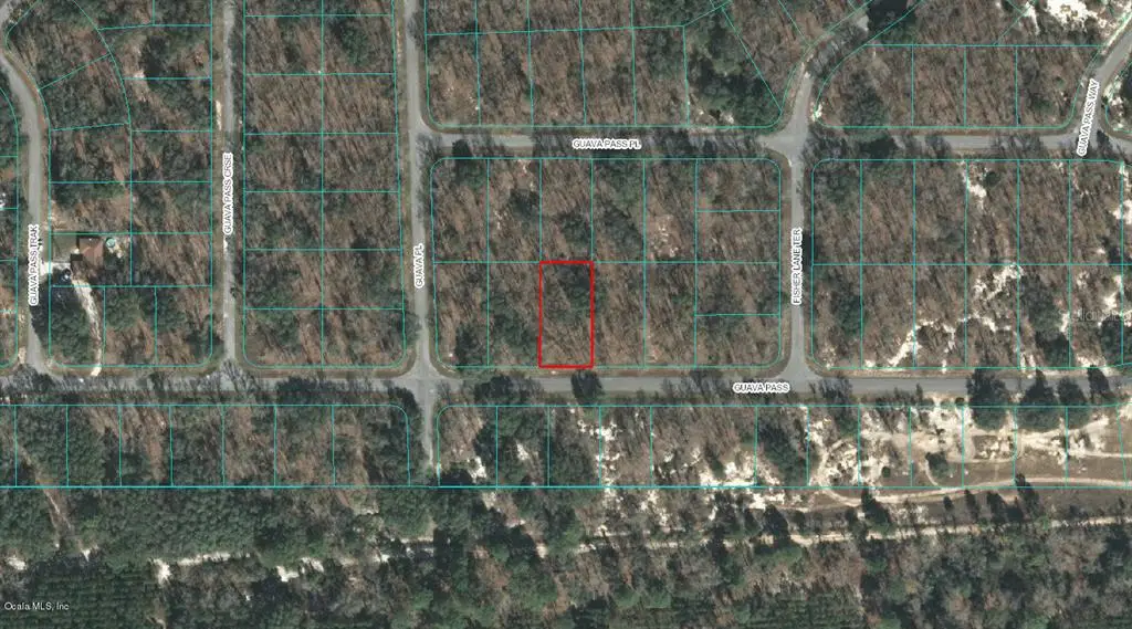 00 Guava Pass Course, Ocklawaha, FL 32179 - Image #1