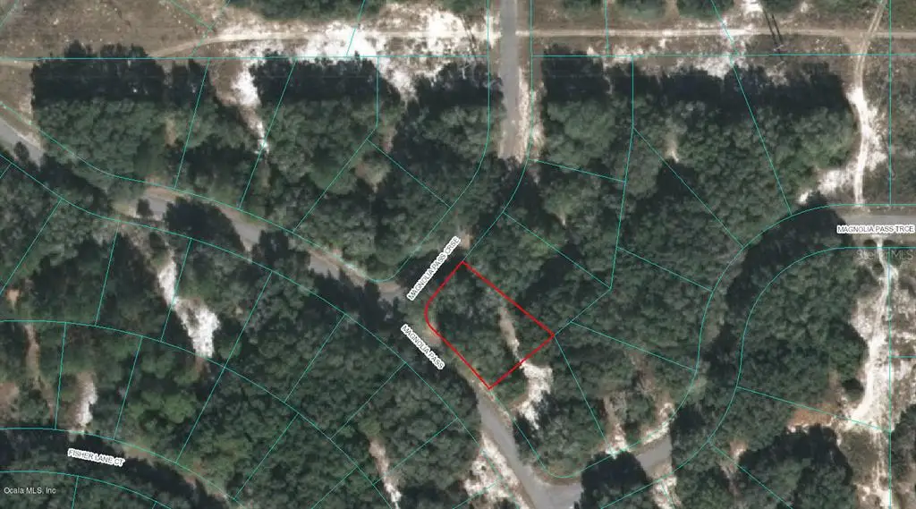 00 Magnolia Pass Course, Ocklawaha, FL 32179 - Image #1