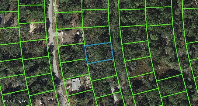 220 Blue Heaven Drive, Lake Placid, FL 33852 - Image #1