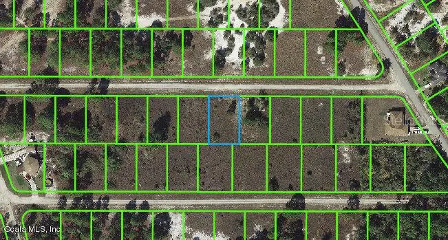 331 Sunflower Avenue, Lake Placid, FL 33852 - Image #1