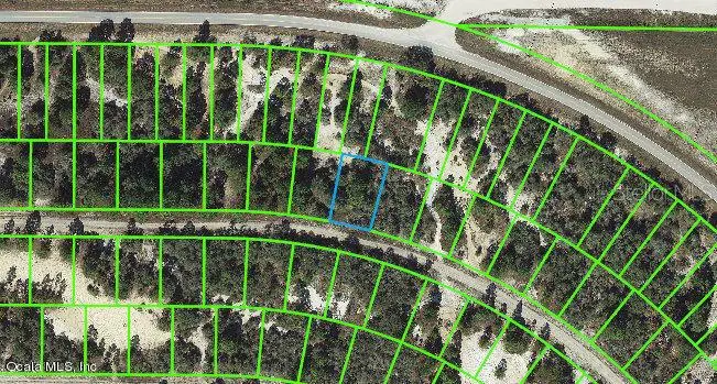 448 Morningside Drive, Lake Placid, FL 33852 - Image #1