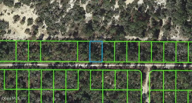 236 Rolling Hills Drive, Lake Placid, FL 33852 - Image #1