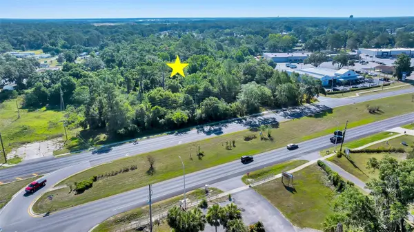 4799 SE 106th Place Road, BELLEVIEW, FL 34420