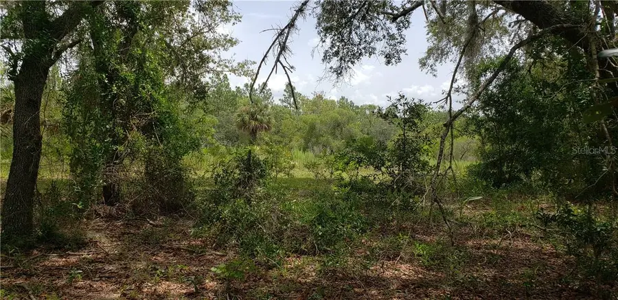 Lot 11 NE Alt Hwy 27, Williston, FL 32696 - Image #2