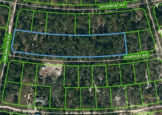 350 Stardust Avenue, Lake Placid, FL 33852 - Image #1