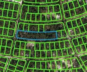 350 Stardust Avenue, Lake Placid, FL 33852 - Image #2