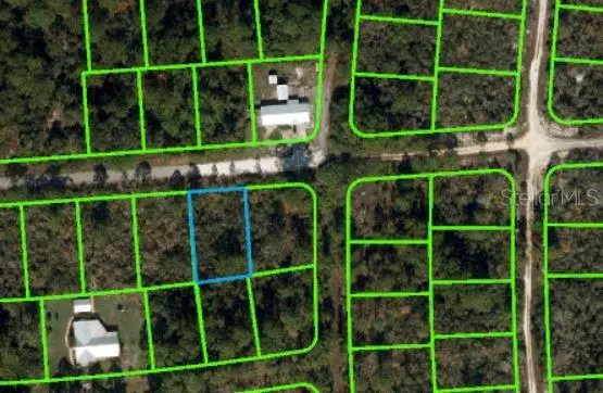 239 Eleanor Boulevard, Lake Placid, FL 33852 - Image #1