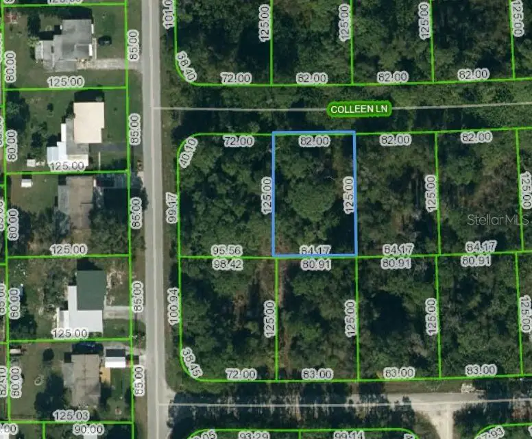 205 Colleen Lane, Lake Placid, FL 33852 - Image #1