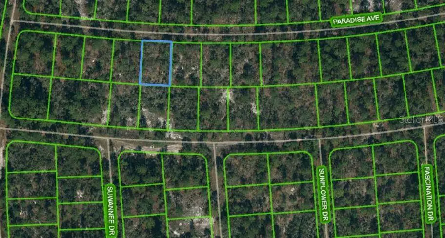 357 Paradise Avenue, Lake Placid, FL 33852 - Image #1