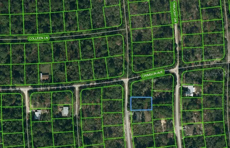 233 Dreamers Drive, Lake Placid, FL 33852 - Image #1