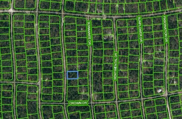 249 Sunnyside Drive, Lake Placid, FL 33852 - Image #1