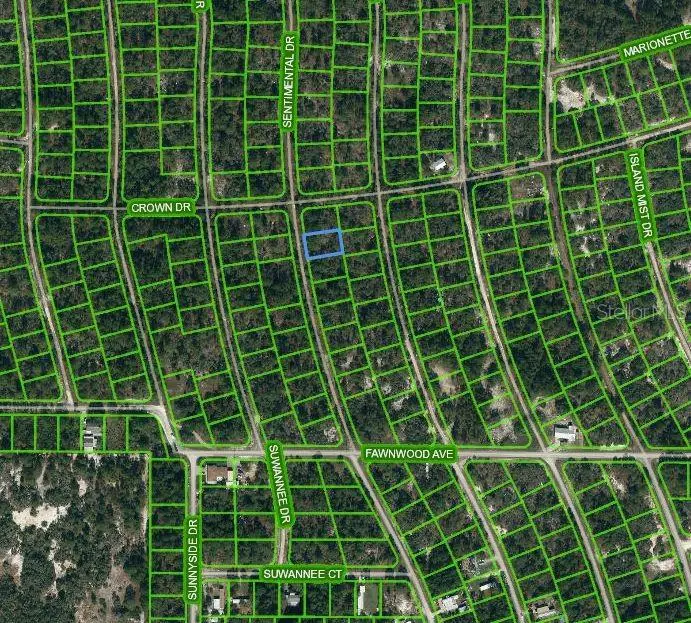 217 Sentimental Drive, Lake Placid, FL 33852 - Image #1