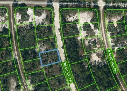 366 Wildwood Drive, Lake Placid, FL 33852 - Image #1