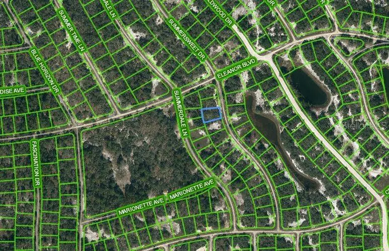 322 Summersweet Drive, Lake Placid, FL 33852 - Image #1