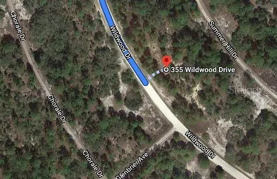 355 Wildwood Drive, Lake Placid, FL 33852 - Image #2